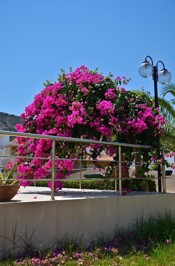 Niko Elen Hotel Stalida Exterior foto